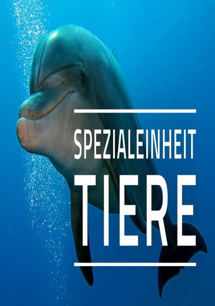 Special Forces Stream Jetzt Serie online anschauen